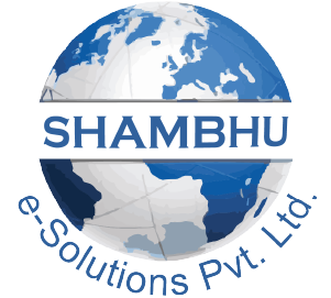 Web Development Service